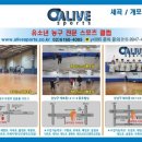 얼라이브스포츠매헌