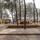 장항오토캠핑장 이미지