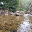 수류화개원 이미지