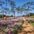 모산고인돌마을 이미지