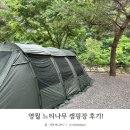 느티나무어린이집 | 영월 느티나무 캠핑장 온수풀 수영장도 있어요!