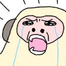 은정스테이 이미지