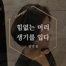 대전 탄방동 미용실 : 단발C컬펌 , 뿌리염색 추천해요