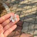아직 알아가고있는 나를 채우는법