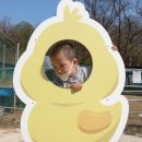 찬우물버섯농장 이미지