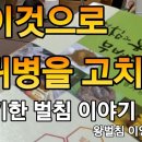[유튜브시골쌤양봉원] 이것으로 희귀병을 고치다! 신기한 벌침 이야기, 벌침의 대가 왕벌침 이영기 선생님 2부﻿ 이미지