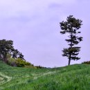 근흥목장 이미지