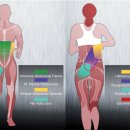 운동의 미학 이미지