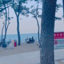 주전월남정화장실 이미지