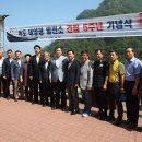 대한 태양광발전소 이미지