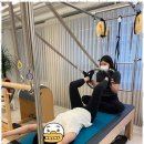 키필라테스 | 방배필라테스 몸과 마음을 변화시키는 키무브 필라테스 후기