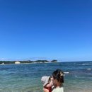 델피노 I 이미지