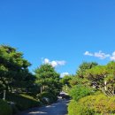 운길산장어 이미지