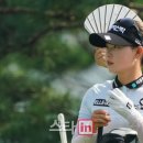 여우바라기 이미지