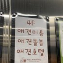 해피오브트리밍 이미지