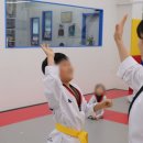 경희대 에이스 태권도장 이미지