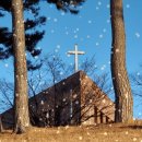 영천치과기공소 이미지