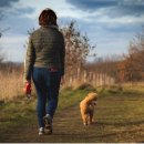 강아지 놀이터 이미지