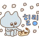초당옥수수푸딩카페쵸딩
