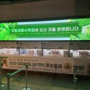 연기면_호수공원중앙수목원로 | [세종 가볼만한곳] 크리스마스의 기적! 🎄 '국립세종수목원' 야간 무료개방 &amp; 온실 관람 찐후기 (아이와...