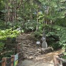 동해 베틀바위-미륵바위-마천루-쌍폭포-관음암-삼화사(260726/산누리) 이미지