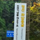 정선그림바위민박 | 정선펜션 찾으시나요? 정선 그림바위민박 한달살기 강추
