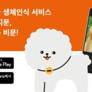 펫나우 이미지