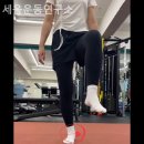 세움운동연구소 네이버블로그