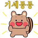 진선약국 이미지