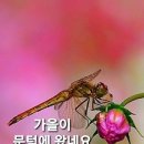 ☆ 할 수 있을 때 잘하자 이미지