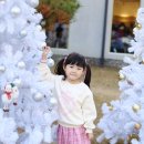 벌티식당 이미지