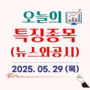 2025.05.29 (목) - 오늘의 특징종목(뉴스&amp;공시)