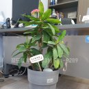 꿈드림공인중개사사무소 이미지