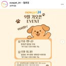 펫24