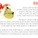 청송사과 - 수원시 장안구 경수대로878번길 12 | 청송사과