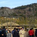 봉하마을 이미지