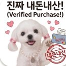 쓰임업 | 네스프레소 버츄오업 구매후기 내돈내산
