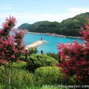 [삼척 가볼만한곳/해신당공원] 애랑을 부르는 덕배의 애끓는 소리가 들리는 그 언덕에서