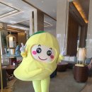 당구속으로 - 영주시 대학로 90 | 베트남 나트랑 가족여행 모벤픽 리조트 추천 리얼 후기
