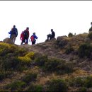 뽈레뽈레 이미지