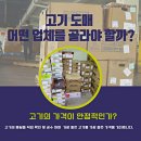 대창미트
