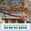 필암서원 유물전시관 | 장성 매화 명소 필암서원, 봄을 기다리는 서원 풍경과 유물전시관