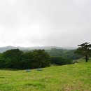 배나무목장 이미지