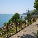 용호1로 이미지