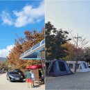 장좌리캠핑장 이미지