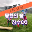 산직옆골 | 장수cc 아시아 10대 첼린지 코스 체험 후기 / 너튜브로만 보던 장수 도전하다! / ft. 스마트 스코어...