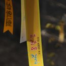 아라메길 티스토리