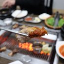 찌개랑뚱돼지랑 이미지
