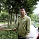 신구대 식물원 목요봉사 쥐똥나무 ㅡ 회양목 전지 이미지