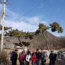 장산시장 이미지